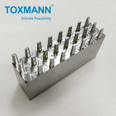 الکتروفورم شده قالب ورودی هسته ای بازتاب دهنده قالب ورودی هسته ای ، Precision Stavax قالب هسته ای قالب ورودی حفره قالب برای پزشکی